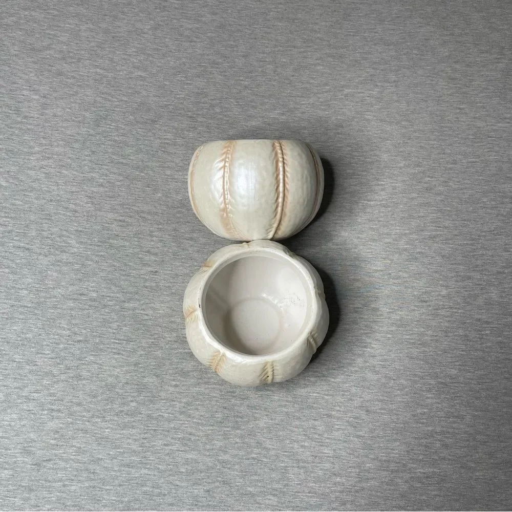 Target Biege 5” Round Pumpkin Ceramic Planter Pot 2 PCS. Set